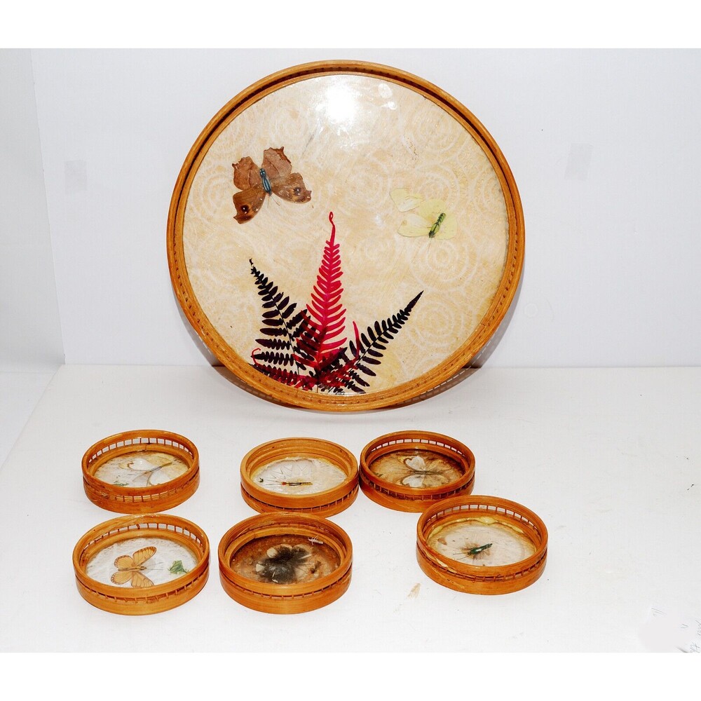 Vintage Acrylic Serving Tray/6 Coasters MCM Pressed Butterfly Flower Bamboo Tiki